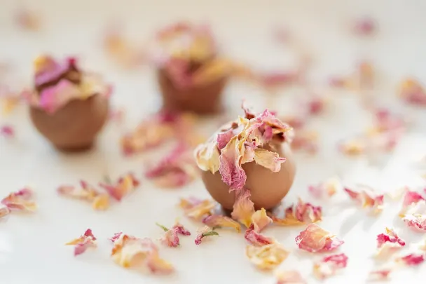 Generation VIP Casino Android/iOS App